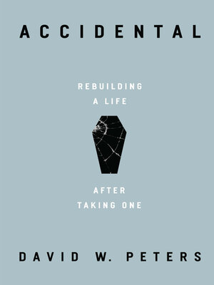 Accidental - ebook